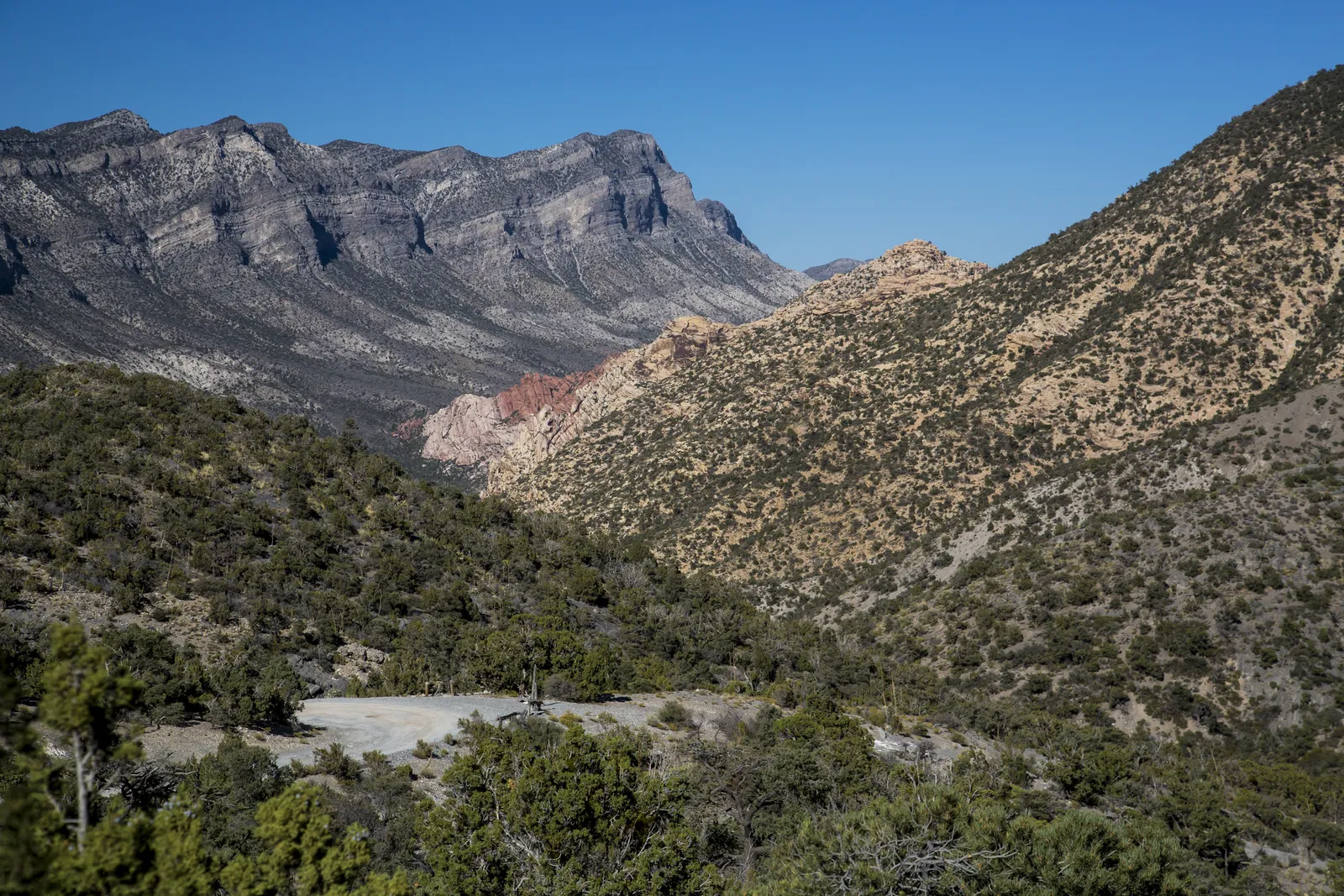 Layered sandstone and mountains at Red Rock Canyon National Conservation Area